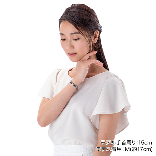 ハードコートチタンブレス メタックス スリム | ファイテン公式通販