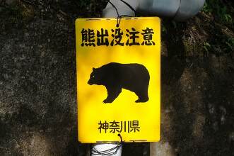 熊出没 注意 看板 写真素材 [1165955] - フォトライブラリー