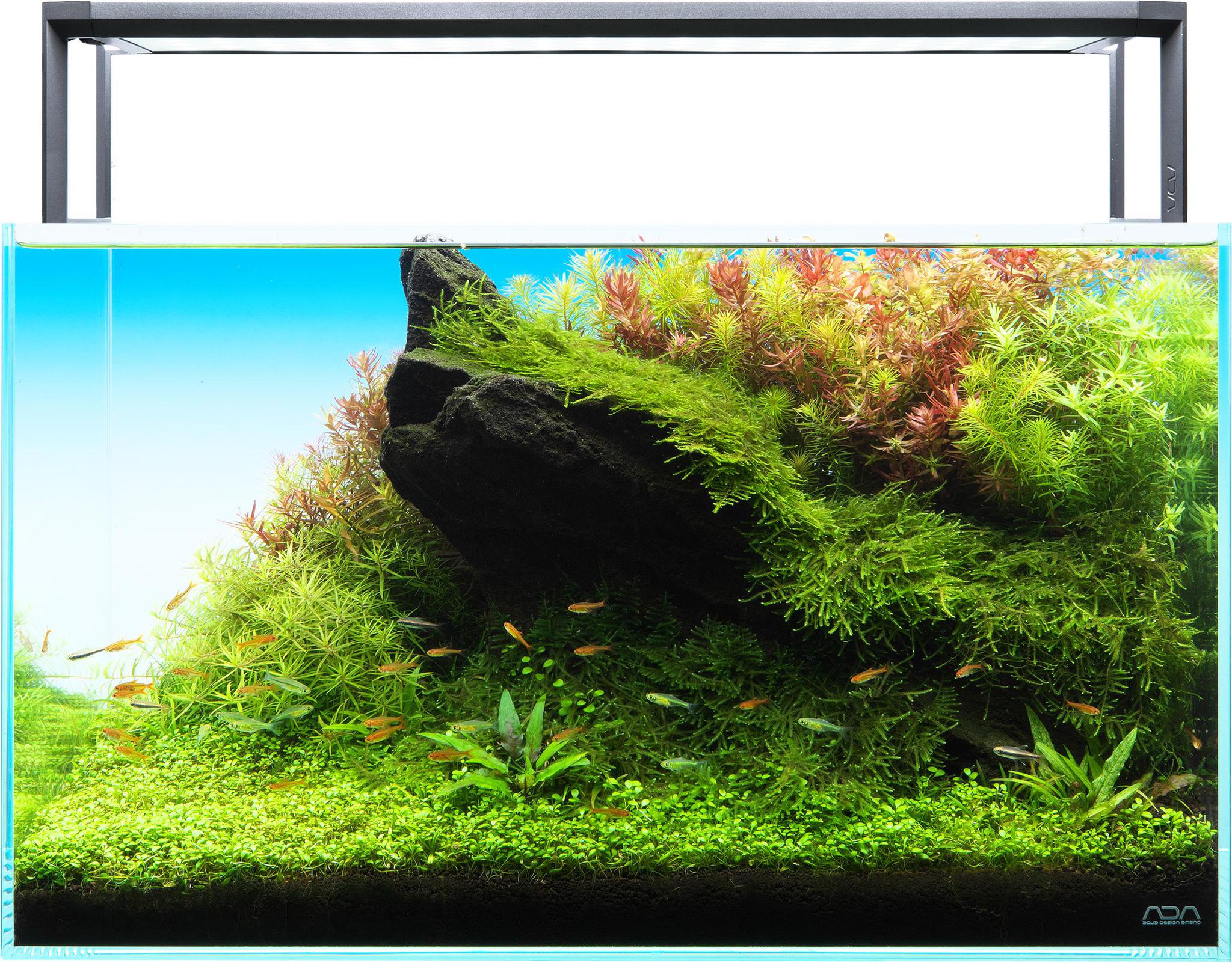 ADA Aquasky RGB II 60 - Planted Aquaria - Bring Nature Home