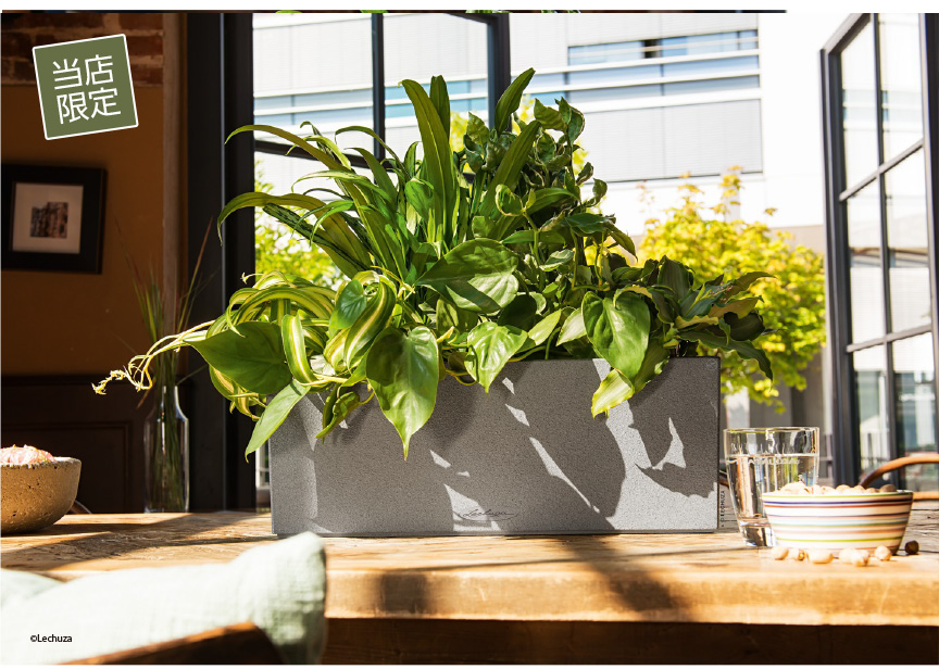 ベランダガーデンに！マンションで人気ハンギングプランター