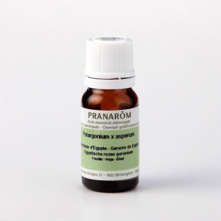 ゼラニウム・エジプト – プラナロム エッセンシャルオイル・精油｜健草