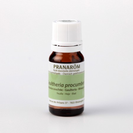 ウィンターグリーン – プラナロム エッセンシャルオイル・精油｜健草医学舎
