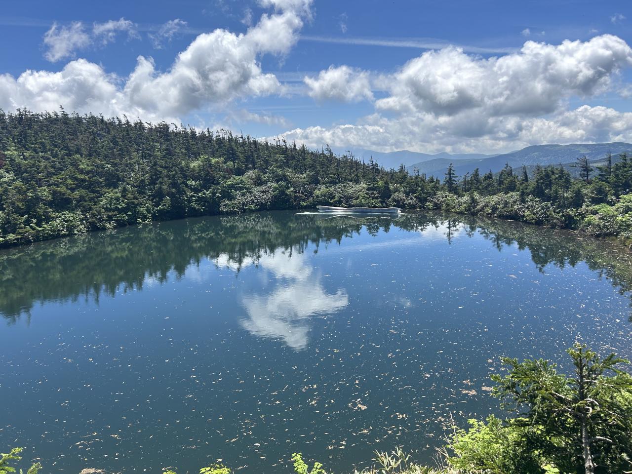 The information center of 