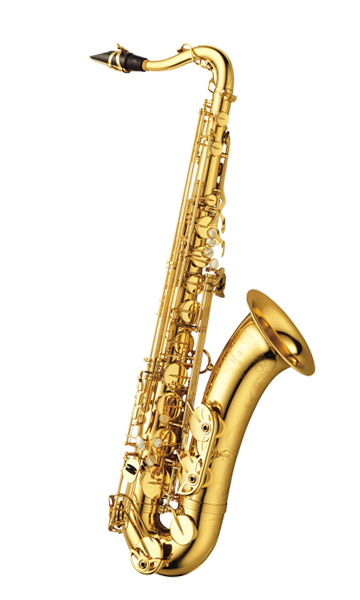 株式会社プリマ楽器 | Prima Yanagisawa Saxophones | T-WO10
