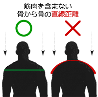 ダグラス ショルダーパッド CP-DB-SP｜アメフト用品専門店 QB CLUB