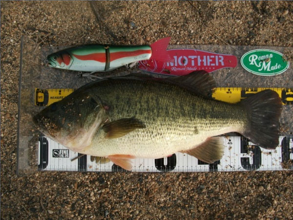 MOTHER - RomanMade【ロマンメイド】