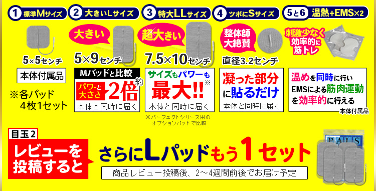干渉波EMS機器パーフェクト4500HOT 新型温熱対応ベルト付き