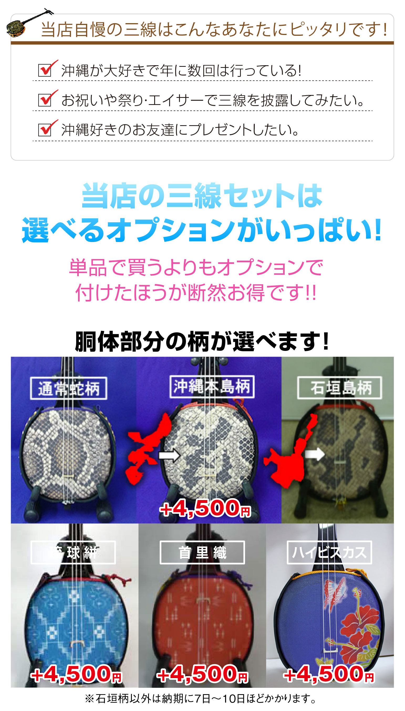 楽天市場】【初心者入門用・豪華三線セット】沖縄三線21点セット（A