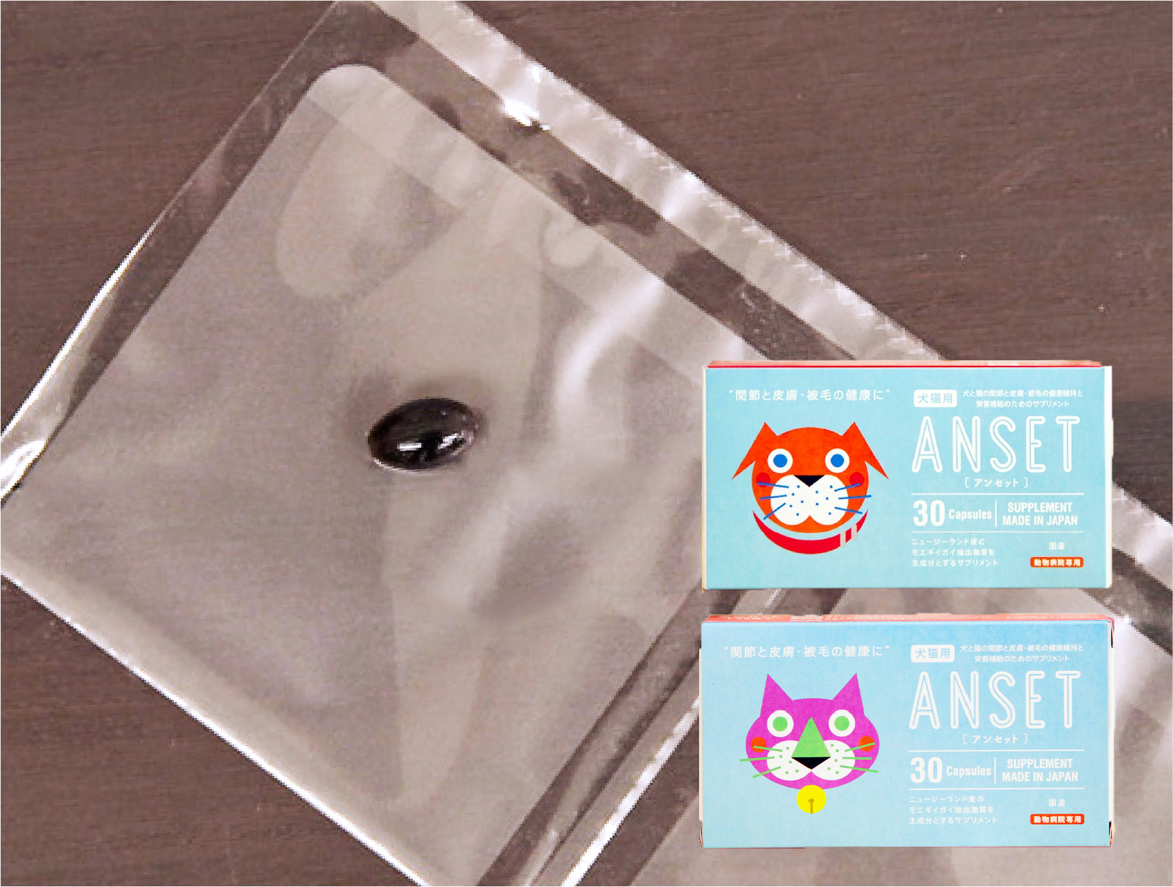 楽天市場】エランコジャパン アンセット 犬猫用 体重1kg〜19kg 1日1粒