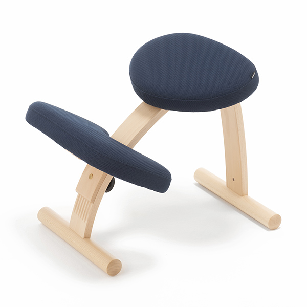 バランスチェア サカモトハウス リボ Rybo バランスイージー 学習