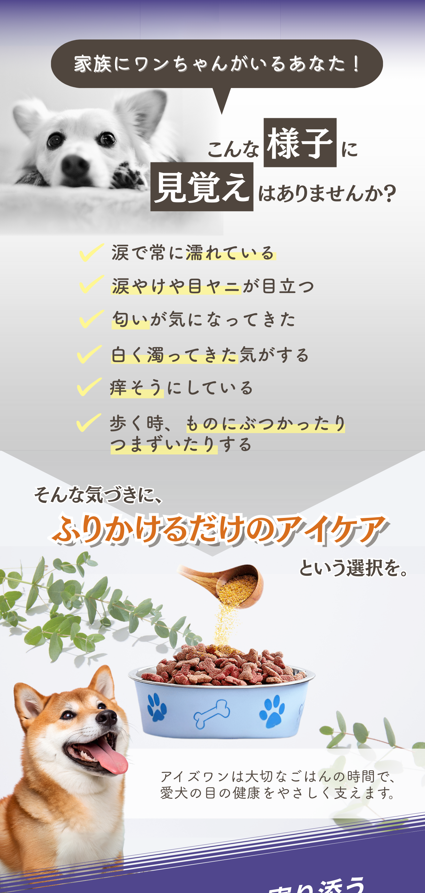 楽天市場】【獣医師評価製品】犬 目 サプリメント サプリ ブルーベリー