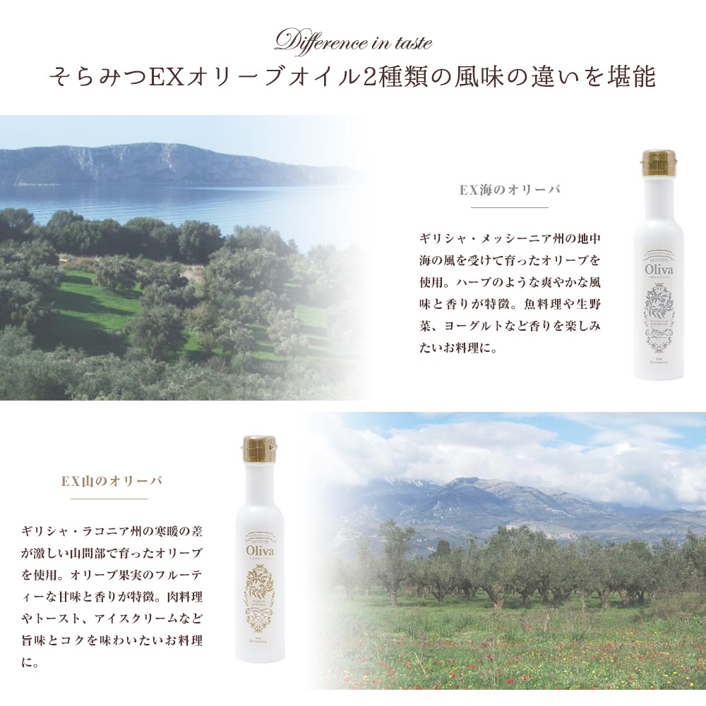 楽天市場】【3/4 20:00〜 ポイント10倍】オリーブオイル EXオリーブ