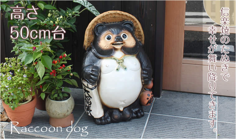 信楽焼 狸 置物（招福狸）高さ約50cm 信楽焼 50号福ひねり狸 たぬき タヌキ 開運 縁起物 可愛い 陶器 商売