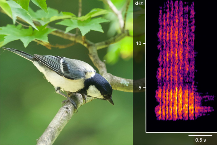 鈴木 俊貴 | 東京大学 先端科学技術研究センター