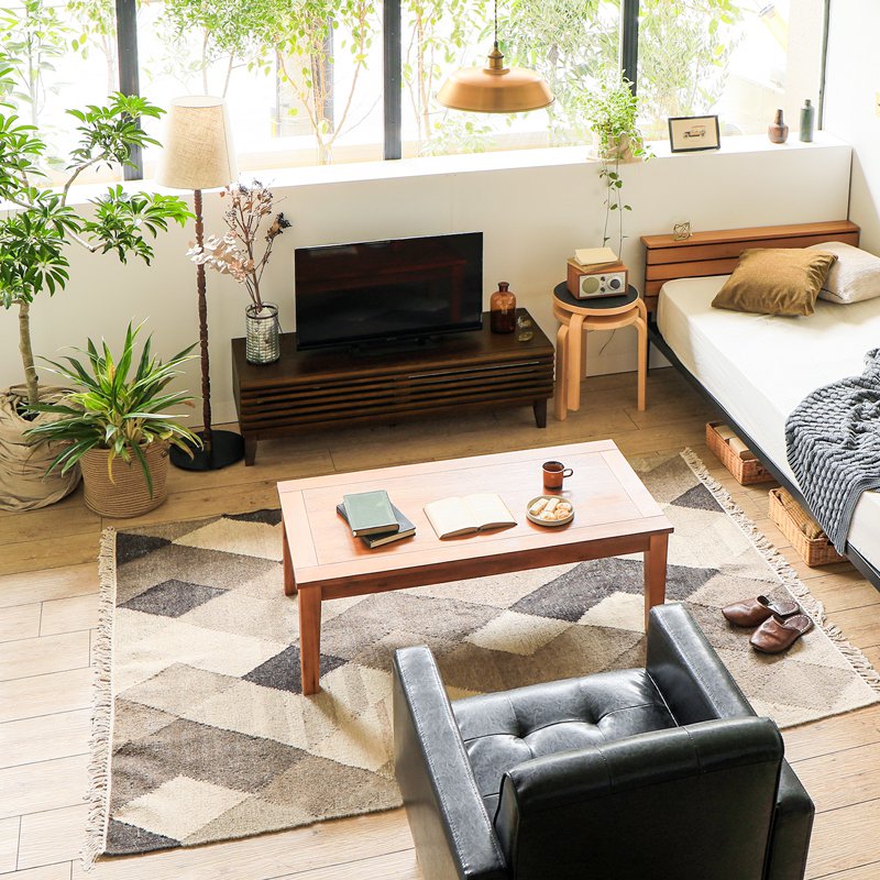 TVボード LINE 幅120cmタイプ ｜家具・インテリア通販 Re:CENO(リセノ)