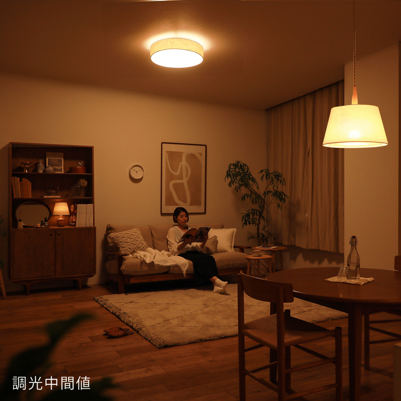 天井照明 TEXAS LED CEILING LIGHT ｜家具・インテリア通販 Re:CENO