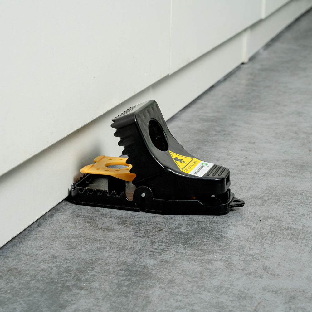 Pest Tek Black Plastic Mouse Trap - Interlocking Teeth, Open Top