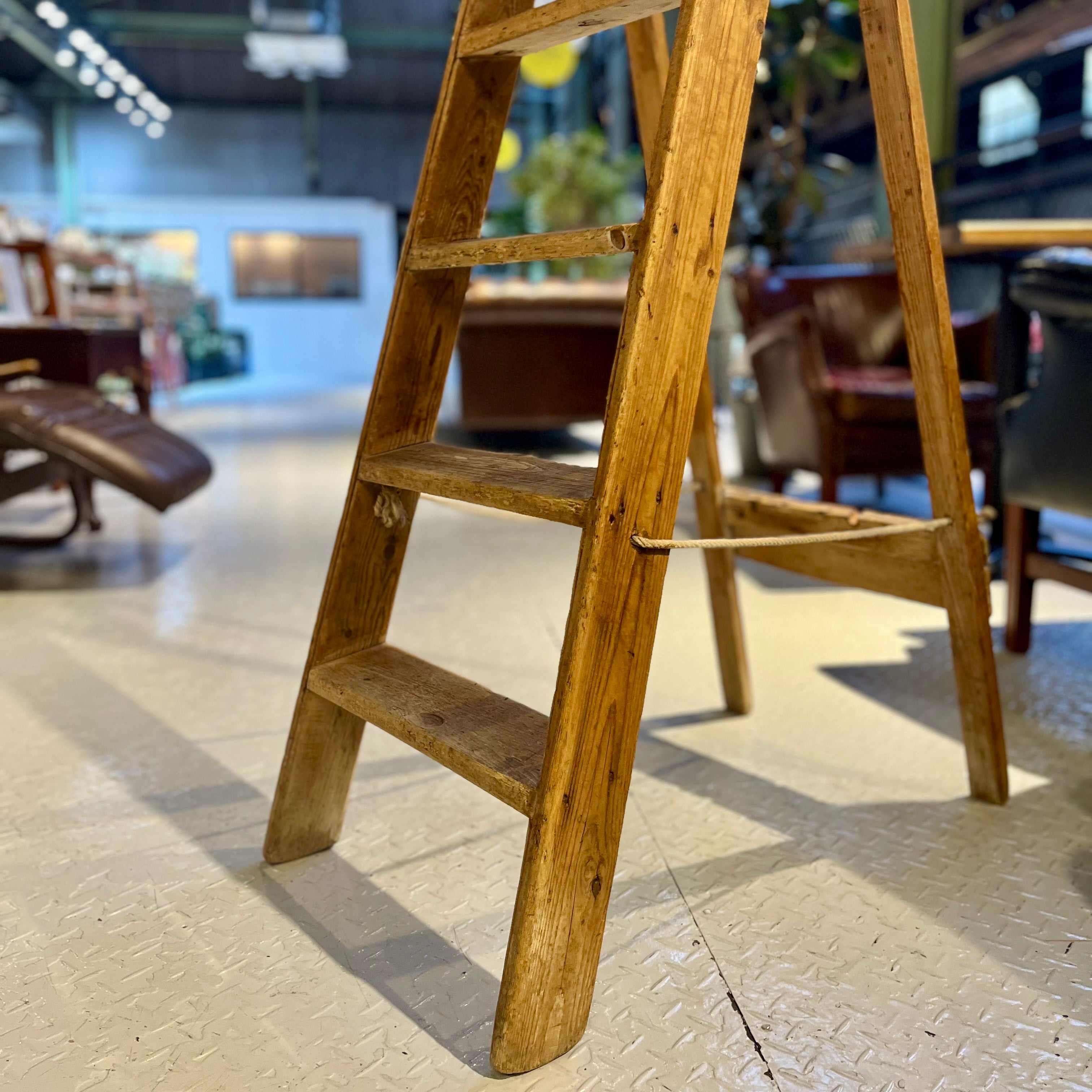 英国 アンティーク ラダー 脚立 ステップラダー ディスプレイ用