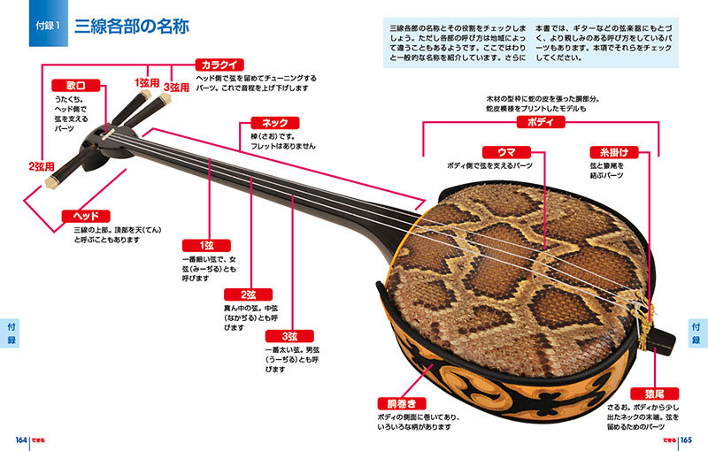 三線ってネコ皮じゃなくてヘビ皮なんです|PICK UP|リットーミュージック