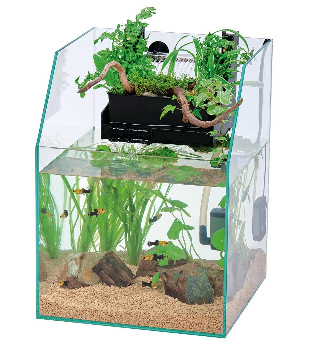 アクアポニックスセット KAP－L【りかなび】ケニス株式会社