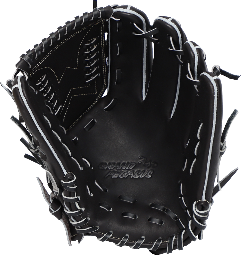 WGK5PT13｜ワールドペガサスジャパン株式会社