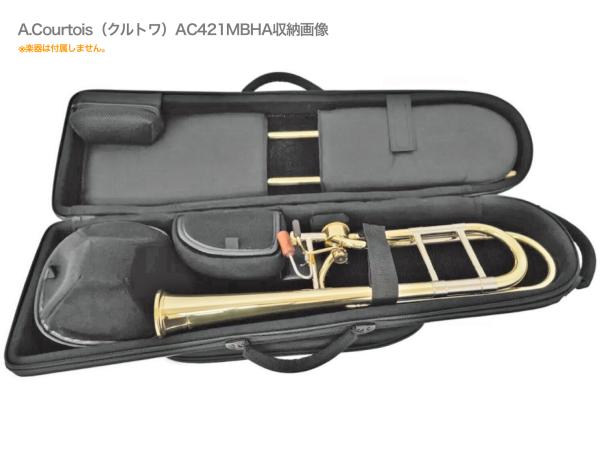 bags バッグス EFDTT F-WHT デタッチャブル トロンボーン ケース