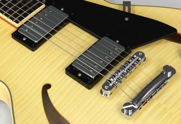 Sadowsky Semi Hollow Model / Vintage Amber | ワタナベ楽器店 京都本店