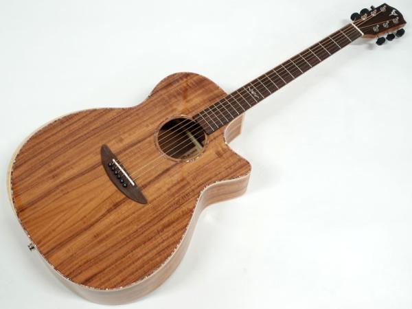 DCT GR-747KCE エレアコ アコースティックギター 特価品 送料無料! 30