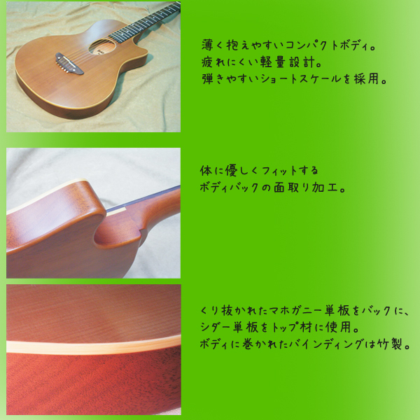 ESP イーエスピー BambooInn-K 【Charプロデュース コンパクト