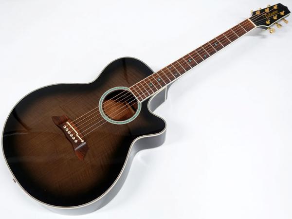 Takamine タカミネ PT-108 アコースティックギター エレアコ Takamine】タカミネ『E.アコースティックギター』PT-108 1994年製