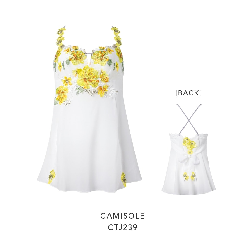 Salute（サルート）｜ 39グループ ｜ セクシー下着