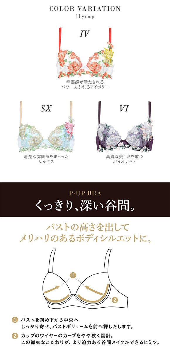 ワコール Wacoal サルート Salute 11G BTJ411 P-UP ブラジャー BC