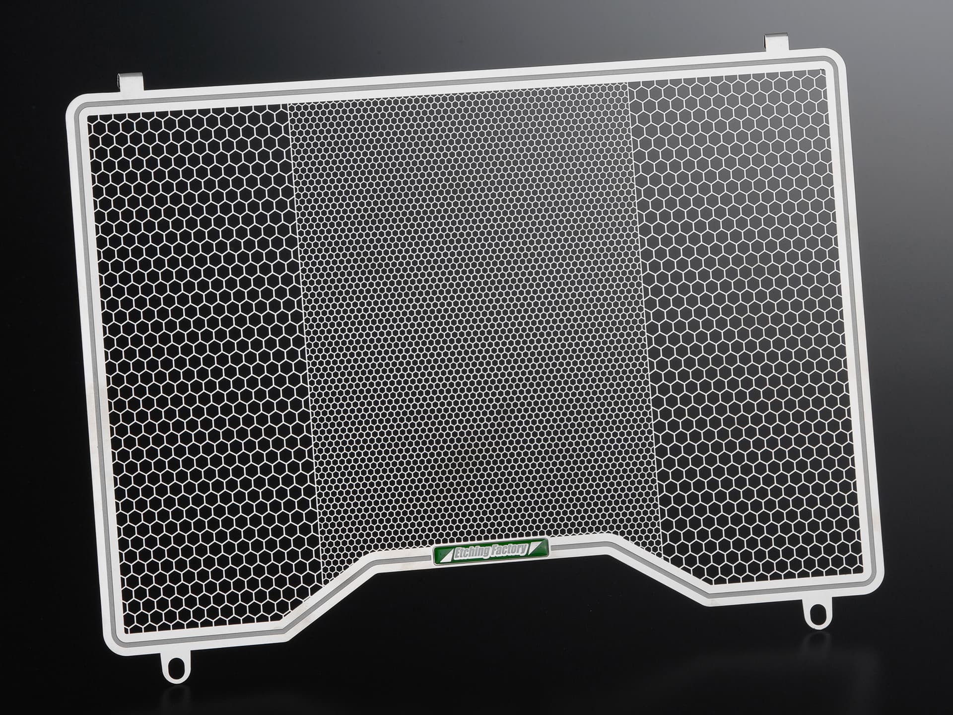 ZRX1100/ZRX1200用ラジエターコアガード