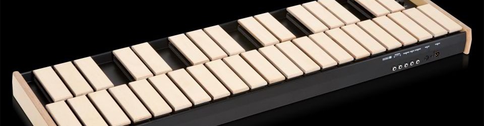 Xylosynth – 日本の « Wernick // Home of the Xylosynth