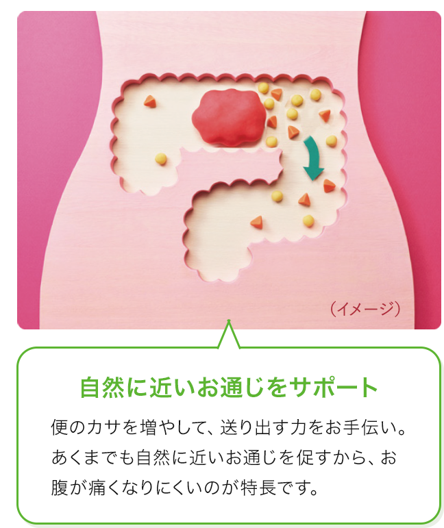 ウィズワン | 植物性便秘薬「ウィズワン」の特長 | ゼリア新薬