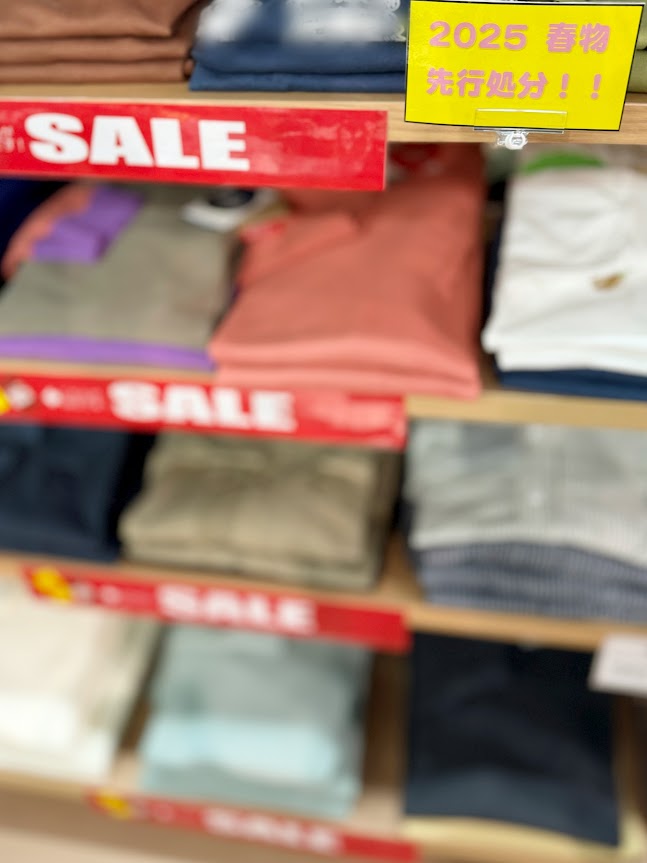 2025年春物アイテム会員様先行割引！｜アウトドアライフストア WILD-1