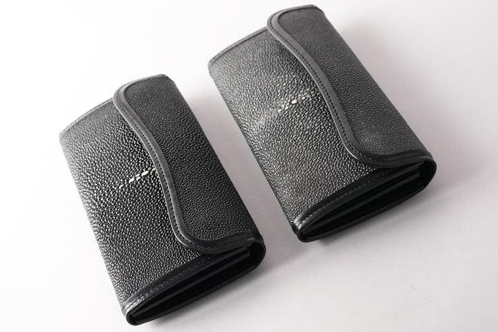 煌めくガルーシャの世界 | WILDSWANS(ワイルドスワンズ)オフィシャルサイト