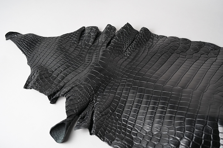 特別仕様のクロコダイルTONGUEについてのお話2 | WILDSWANS(ワイルド