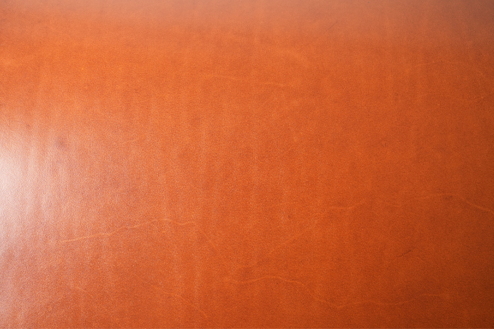 特別カラーのサドルプルアップシリーズについてのお話 8 | WILDSWANS