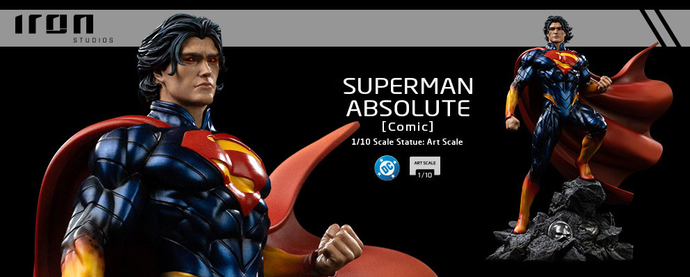 n*3様 ホットトイズ スーパーマン 限定 トイサピエンス トイサピエンス