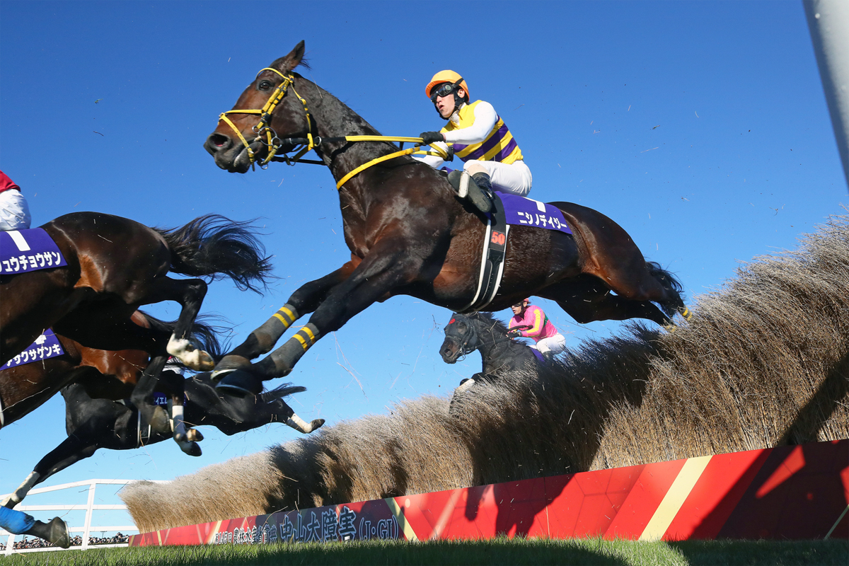 障害界に現れたニューヒーロー。ニシノデイジーが平地・障害重賞両制覇
