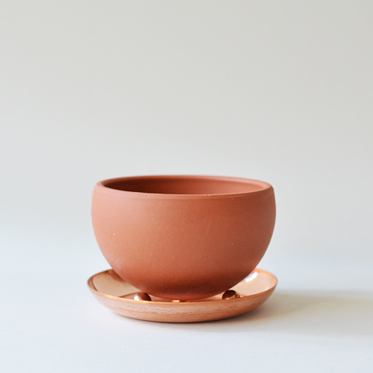 IZAWA SEITO MARCO POT 2.5 (TOKONAME) | 多肉植物・特別な鉢の販売