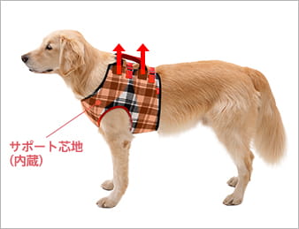 介助ベスト チェック | 歩行補助ハーネス LaLaWalk