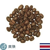 生豆限定】 コスタリカ （生豆1kgパック）