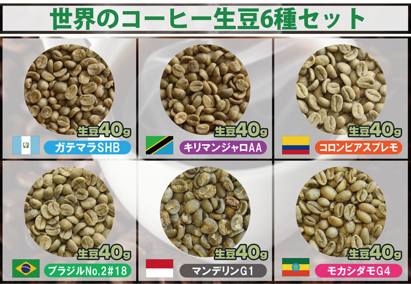 初回限定 お試し焙煎セット 焙煎職人13cmと世界の珈琲生豆6種セット