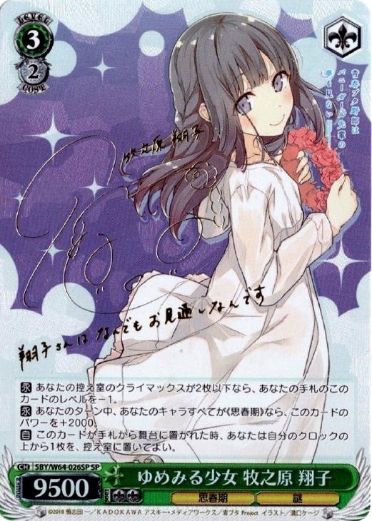 謎多き少女 牧之原翔子 sec PSA10 2025年最新】牧之原翔子 psa10の人気