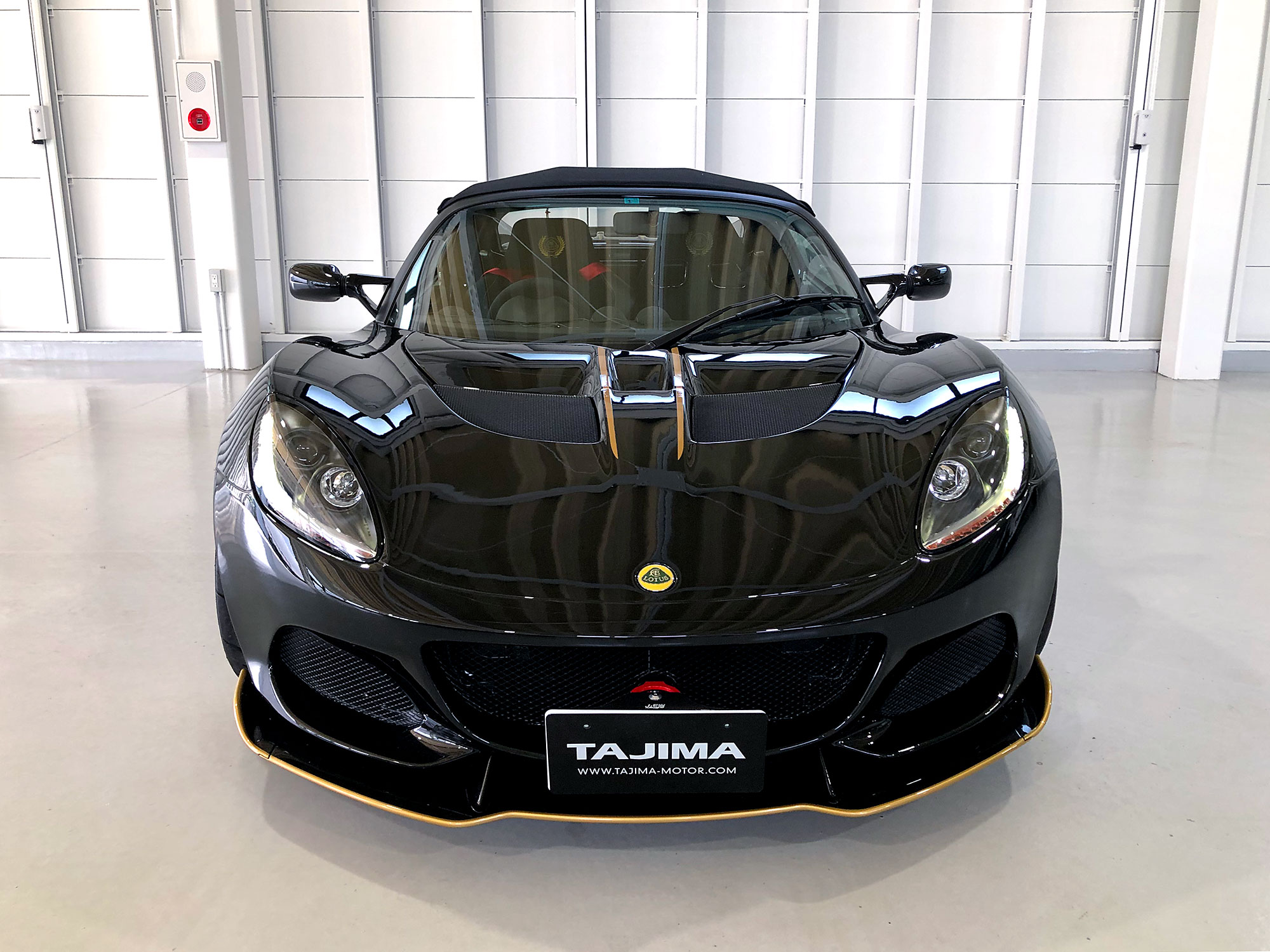 ロータス エリーゼ CUP250 GP EDITION - ブラック MY2019 タジマ