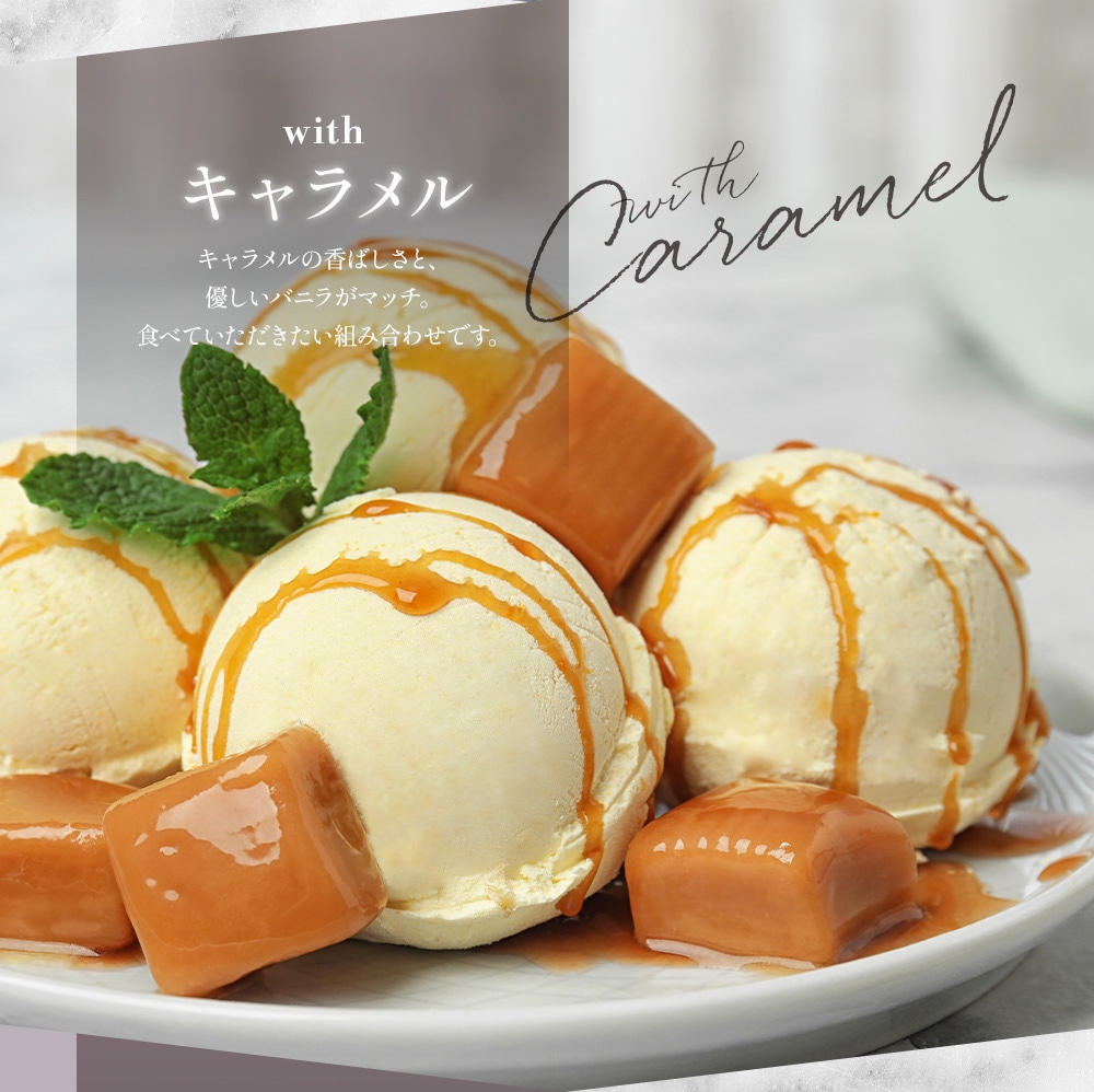 リッチバニラ（ソフトスクープ）2リットル | タカナシミルク WEB SHOP