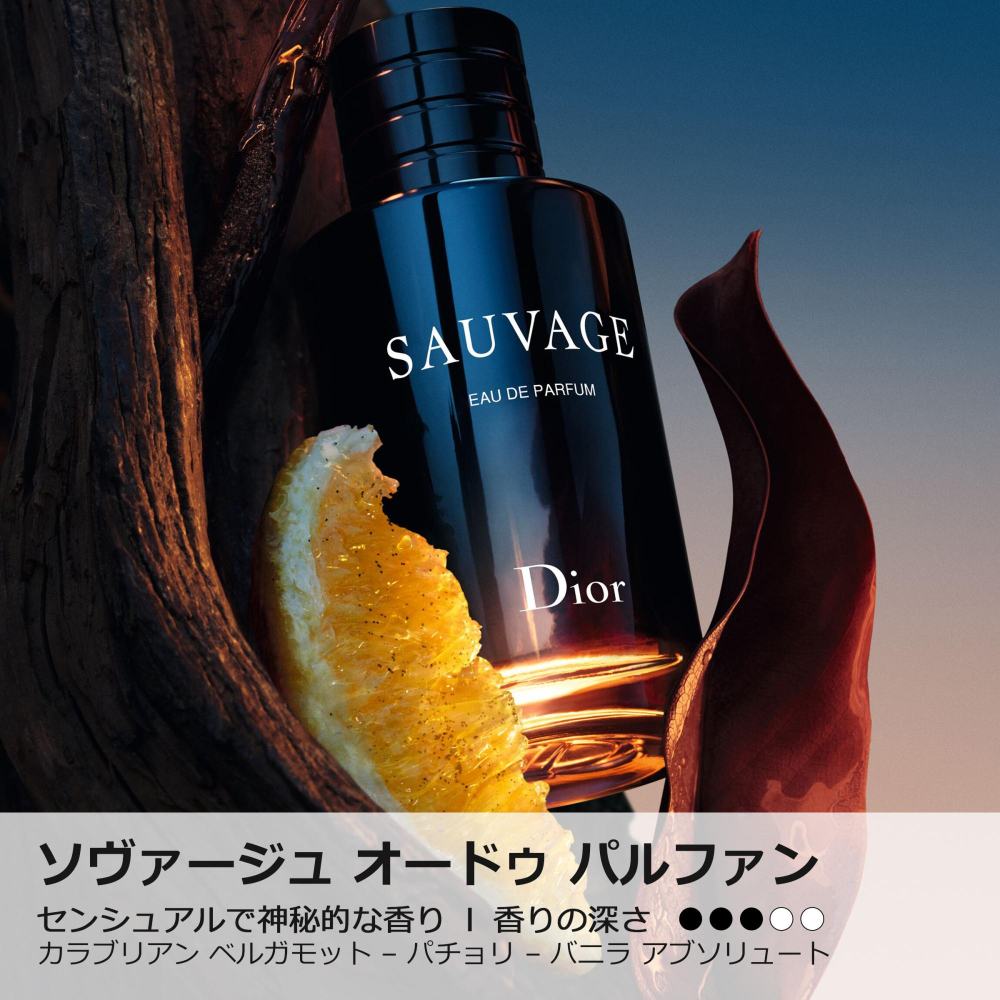 DIOR（ディオール） ソヴァージュ オードゥ パルファン リフィルの通販