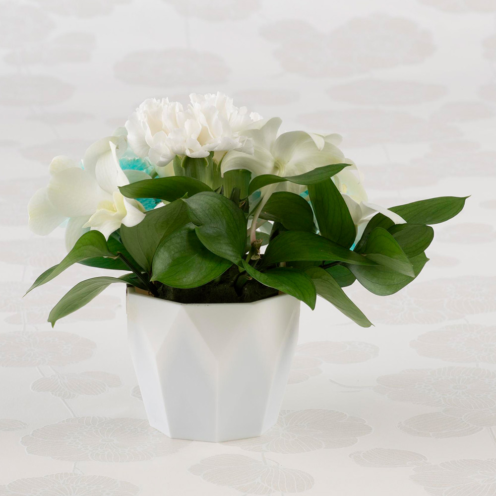 生花 供花「沙羅」＆鳩居堂 線香「白鳩」 | 商品詳細 | 高島屋